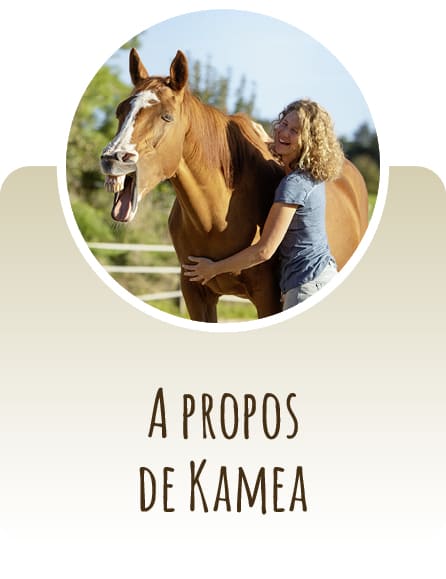 A propos de Kamea