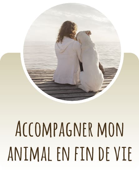 Accompagner mon animal en fin de vie