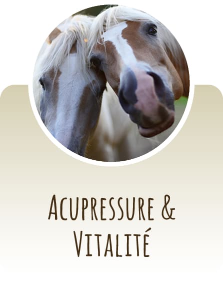 Acupressure & Vitalité