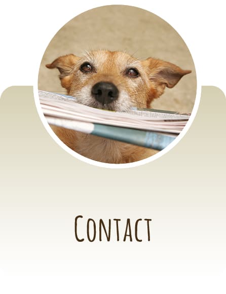 Contact 