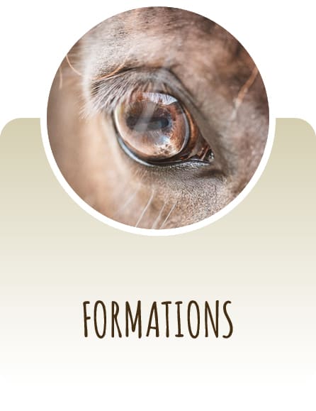 Formations 
