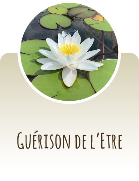 Guérison de l'Être 