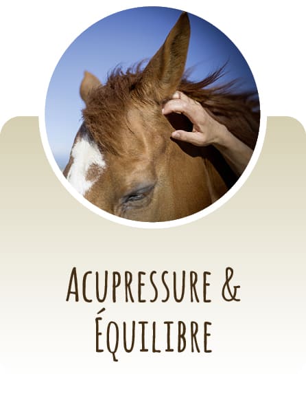 Acupressure & Équilibre