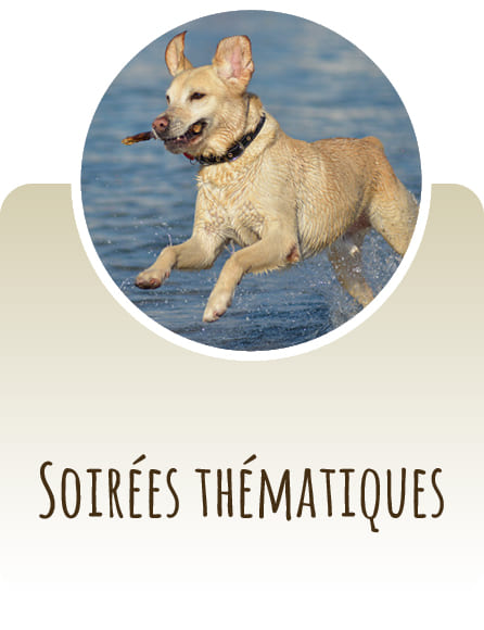 Soirées thématiques 